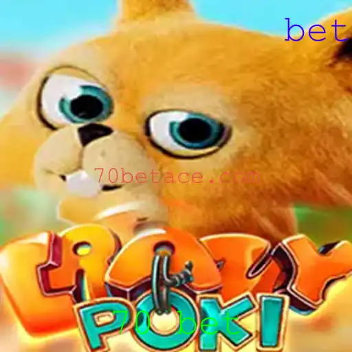 Explorando o Mundo de CrazyPoki: O Jogo do Momento